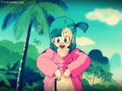 bulma_(dragon_ball) bulma_briefs bulma_briefs dragon_ball_(classic) flashing