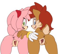 amy rose from sonic (series) by the other half