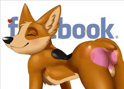 anthro ass balls biscuit_(facebook) black_fur black_nose brown_fur canine closed_eyes corgi domestic_dog facebook fur gay heart inner_ear_fluff male male_only mammal multicolored_fur pink_fur presenting smile solo sticker tan_fur