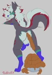 anthro anus ass balls big_anus big_balls blue_penis bowl canid canine canis container digital_media_(artwork) domestic_dog erection excessive_feces feces feces_everywhere feces_in_ass feces_in_bowl feces_pile fur genitals gloves_(marking) green_eyes hair hi_res husky hybrid hyena hyper hyper_feces leaning_on_object leg_markings looking_back lyonel_(lyonelhy) male mammal markings multicolored_body multicolored_fur nordic_sled_dog nude penis presenting puffy_anus rear_view redblissex scat simple_background socks_(marking) solo spitz spots spotted_body spotted_fur spotted_markings tail tail_markings