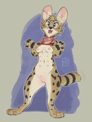 2017 4_fingers 4_toes anthro black_spots blue_eyes breasts brown_fur clothed clothing clothing_lift collar countershading digitigrade ear_piercing feline female front_view full-length_portrait fur hi_res inner_ear_fluff looking_at_viewer mammal multi_nipple navel nipples open_mouth paws piercing pink_nipples portrait pussy reign-2004 ringed_tail serval shirt shirt_lift simple_background solo spots spotted_fur standing toes white_fur yellow_sclera