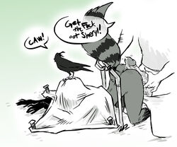 anthro ass avian bird black_and_white corvid covering crow cum female human human_on_anthro interspecies male mammal monochrome penis procyonid raccoon sparrow_(artist) straight text trap_(disambiguation)