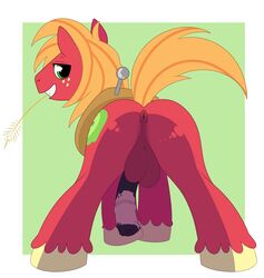 1boy 2017 abstract_background all_fours animal_ears animal_genitalia animal_penis anus ass backsack balls big_macintosh_(mlp) blonde_hair blonde_mane blonde_tail butt cutie_mark dat_ass earth_pony enookie equine equine_penis feral freckles friendship_is_magic green_eyes half-closed_eyes half-erect hasbro hooves horse horsecock looking_at_viewer looking_back male male_only mammal mane my_little_pony penis perineum pony presenting presenting_hindquarters puffy_anus simple_background smile solo stallion tail testicles wheat yoke