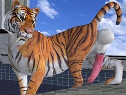 3d animal_genitalia balls big_balls big_penis erection fangs feline feral fur huge_balls looking_at_viewer male male_only mammal orange_eyes orange_fur penis pool_(disambiguation) pose sabertooth_(feature) solo tapiko tiger water white_fur