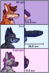 akad_(akadthefox) akadthefox anthro balls big_penis black_body black_fur blue_body blue_eyes blue_fur blush bow_tie brown_hair canid canine canis chastity_cage chastity_device dobermann domestic_dog embarrassed erection evil_grin eyeshadow femboy fox fur genitals grey_body grey_fur group hair hi_res hyena lock_symbol looking_down makeup male mammal measuring measuring_penis muscular null_bulge orange_body orange_fur penis pink_eyes pink_eyeshadow pink_hair pinscher purple_bow_tie purple_chastity_cage purple_eyes sed_(akadthefox) side_view skinny smile smirk striped_hyena trio white_body white_fur
