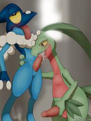 animal_genitalia blue_scales blush cum cum_in_mouth cum_inside cum_on_penis fellatio feral feral_on_feral frogadier genital_slit green_scales grovyle hand_on_penis male masturbation nintendo oral penis pokémon_(species) pokemon red_scales saliva scales sex simple_background slit sweat tongue tongue_out video_games winick-lim yaoi yellow_eyes