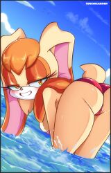 vanilla the rabbit from sega by tenshigarden