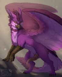 2026 arith avian bodily_fluids dated digitigrade dripping endermoonfur erection feathered_wings feathers feral fur genital_fluids genitals gryphon heart_symbol hi_res male mythological_avian mythological_creature mythology penis precum precum_drip purple_body purple_eyes purple_feathers purple_fur quadruped signature solo tapering_penis wings