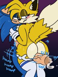 absurd_res ass big_butt bite biting_lip blue_body blue_fur bodily_fluids butt_grab canid canine chibitay clothing crossdressing crossdressing_(mtf) crossdressing_male dark_eyelids eulipotyphlan femboy fox fur gay gay_male hand_on_butt hedgehog hi_res homosexual homosexual_male legwear male male_penetrated mammal sega sex solo_male sonic_(series) sonic_the_hedgehog sonic_the_hedgehog_(series) sweat sweaty_butt tails thigh_highs thigh_sex white_body white_fur yellow_body yellow_fur