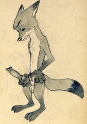 Animal Genitalia Rule 34 Image