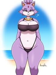 blaze the cat from sonic (series) by jhenightfox