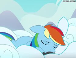 animated balls deepthroat fellatio furry horse my_little_pony penis rainbow_dash_(mlp) soarin_(mlp) sound sunrise_hooves tagme video