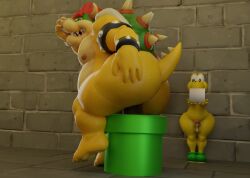 3d_(artwork) anthro armband ass balls being_watched blender_(artwork) bodily_fluids bowser bracelet brick_wall claws clothing covering_nose digital_media_(artwork) duo eyebrows feces finger_claws footwear genital_fluids genitals green_body green_clothing green_footwear green_scales green_shell green_shoes hair hand_on_butt hand_on_own_butt hi_res holding_toilet_paper horn improvised_toilet jewelry koopa koopa_troopa looking_at_another male mario_bros narrowed_eyes nintendo nipples non-mammal_nipples nude nude_anthro nude_male penis precum precum_string red_eyebrows red_eyes red_hair scales scalie scat scatplay sharp_teeth shell shoes size_difference spiked_armband spiked_bracelet spiked_shell spiked_tail spikes spikes_(anatomy) standing streetsign01 tail teeth toe_claws toilet_paper wall_(structure) warp_pipe yellow_body yellow_scales
