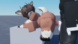 1boy 1girls 3d animated baseplate chubby_female deer deer_girl different_angle enjoying feline female furry gif male male/female male_penetrating mammal nekomaniaa nude_female nude_female_clothed_male pov pov_male roblox robloxian self_upload tagme