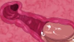 1boy 1girls 2d anal animated areolae blush bouncing_breasts breasts brown_eyes brown_hair censored chubby_female erection female internal kemonokko_tsuushin large_breasts longer_than_30_seconds male medium_hair nipples penis pussy screencap sex shorter_than_one_minute sound straight thick_penis thick_thighs thighhighs tummy vagina video x-ray