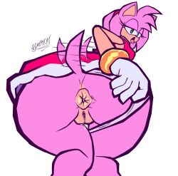 amy rose from sega by magikat