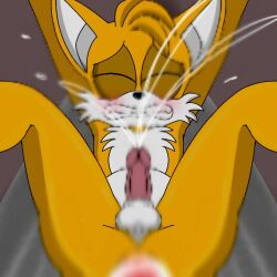 anal anal_sex blurry blush fast_thrusts fox fuckboy furry gay legs_up male male_only miles_tails_prower penis sex solo sonic_(series) sonic_the_hedgehog_(series) spanky15 struggling tails tails_the_fox