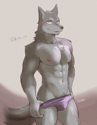 abs anthro blush bulge canine clothed clothing colored cotton_(artist) looking_at_viewer male male_only mammal muscular muscular_male pecs purple_underwear simple_background skimpy solo teasing topless underwear undressing