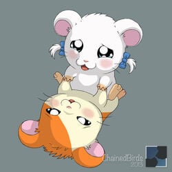 bijou blush chainedbirds duo female feral fur grey_background hamster hamtaro hamtaro_(series) hand_holding male mammal open_mouth orange_fur ribbons rodent simple_background straight white_fur