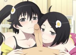 araragi_karen araragi_koyomi araragi_tsukihi blowjob brother_and_sister erection hedit imminent_fellatio incest licking_penis monogatari_(series) oral pov sisters threesome