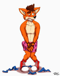 1boy 2017 anthro bandicoot black_nose blank_background blush blush_lines blushing boxers boxers_(clothing) brown_eyebrows brown_fingerless_gloves brown_gloves brown_hair cheek_tuft clothing color crash_(series) crash_bandicoot crash_bandicoot_(series) embarrassed erection fingerless_gloves footwear fur furry furry_only gloves green_eyes heart_boxers inner_ear_fluff male male_only mammal marsupial no_humans nude orange_fur penis pink_boxers pink_underwear red_lynx redlynx369 ripped_shorts signature simple_background solo solo_male tan_fur torn_clothes torn_shorts tuft underwear video_games white_background