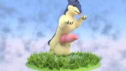 2017 3d animal_genitalia animal_penis balls big_balls canine_penis deretto feral grass green_eyes huge_balls hyper hyper_balls hyper_knot hyper_penis knot looking_at_viewer male nintendo penis pokemon pokemon_(species) quilava solo typhlosion video_games