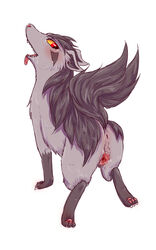 anus black_fur blush canine female feral fur gaping grey_fur kiriya mammal mightyena nintendo pokémon_(species) pokemon presenting pussy red_eyes saliva simple_background solo teeth tongue tongue_out video_games white_background yellow_sclera