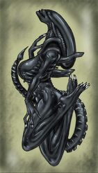 female xenomorph from alien (franchise) by leftright