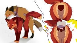 anatomically_correct animal_genitalia animal_pussy anus arm_tuft ass balls black_body black_ears black_fur black_nose bodily_fluids bonfire_(f3ral) brown_body brown_collar brown_fur brown_tail canid canine canine_genitalia canine_pussy canis chest_tuft clenched_teeth closed_eyes collar collar_only digital_media_(artwork) dipstick_tail doggy_style duo ears_back ears_up elbow_tuft facial_tuft fangs feet female female_penetrated feral feral_on_feral feral_penetrated feral_penetrating feral_penetrating_feral fluffy fluffy_tail fox from_behind_position front_view fur genitals gloves_(marking) gushoafterdark happy happy_sex hi_res knot_root knotting leather leather_collar leg_markings looking_pleasured male male/female male_penetrating male_penetrating_female mammal markings multicolored_body multicolored_fur neck_tuft nude orange_body orange_fur orange_tail orgasm orgasm_face paws penetration penis pivoted_ears presenting presenting_anus presenting_hindquarters presenting_pussy pussy quadruped rear_view red_body red_ears red_fox red_fox_(f3ral) red_fur red_inner_ear red_tail sex side_view simple_background snout socks_(marking) tail tail_markings tail_tuft teeth toes true_fox tuft two_tone_tail vaginal_knotting vaginal_penetration vaginal_penetration white_background white_balls white_body white_fur white_tail