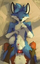 absurd_res anal anal_sex animal_genitalia animal_penis anthro anthro_on_anthro anthro_penetrated anthro_penetrating anthro_penetrating_anthro anvil_position balls bed biped blue_body blue_fur canid canine canine_genitalia canine_penis cheek_tuft cuteconfy digital_drawing_(artwork) digital_media_(artwork) duo erection facial_tuft first_person_view fluffy fox from_front_position fur furniture genitals heart_symbol hi_res inside knot leg_grab legs_up looking_pleasured lying male male/male male_penetrated male_penetrating male_penetrating_male mammal narrowed_eyes navel nude on_back on_bed orange_body orange_fur paws penetrating_pov penetration penile penile_penetration penis penis_in_ass penis_tip sex sheath signature slim small_waist tail thrusting tuft white_body white_fur