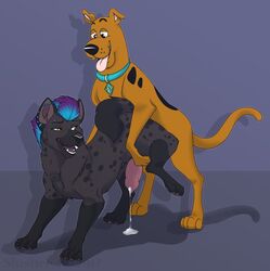 2boys anal anal_sex black_fur brown_eyes brown_fur collar cum cum_on_floor cyan_hair feral feral_on_feral fur gay hair hanna-barbera hyena male male_only penetration penis piercing purple_hair scooby-doo scooby-doo_(character) slushee spots tattoo yaoi