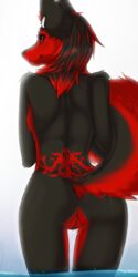 anthro ass black_body black_fur breasts canid canine canis digital_media_(artwork) ear_piercing eyebrow_piercing facial_piercing female fur fur_pattern genital_piercing genitals hair hi_res looking_at_viewer mammal nnecgrau nude piercing pussy pussy_piercing raised_tail red_body red_eyes red_fur simple_background smile solo solo_focus water wolf zoe_(nnecgrau)