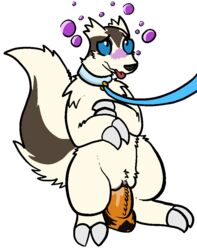 2017 collar dildo female feral leash linoone mammal nintendo nude penetration poisoned pokémon_(species) pokemon pussy sex_toy simple_background solo tongue trout_(artist) vaginal_penetration vaginal_penetration video_games white_background