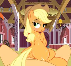 anus applejack_(mlp) ass bestiality blonde_hair blush cheesepuffs equine female female_feral feral feral_penetrated first_person_view friendship_is_magic green_eyes hair happy_sex headwear horse human human_on_feral human_penetrating human_penetrating_feral interspecies looking_back love male male_on_feral male_pov mammal mating my_little_pony nude penetration pony pussy straight sweat vaginal_penetration zoophilia