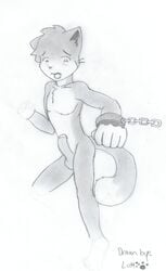 anthro furry leo lumi male_only tagme vg_cats webcomic