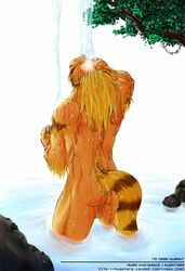 anthro breath_of_fire breath_of_fire_iii furry male_only rei_(breath_of_fire) tagme