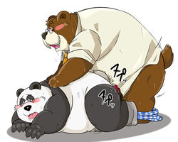 2012 anal anthro bear blush clothing cum drooling duo eyewear glasses male mammal norataro overweight overweight_male panda penis saliva shirt simple_background sweat underwear white_background yaoi