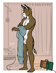 balls bgn brown_fur brown_hair donkey equine fur hair haw heater male male_only mammal penis towel