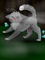 balls blush erection feline feral fur grey_fur jayfeather_(warriors) kiwikoiz male mammal paws penis simple_background solo warriors_(cats) white_fur