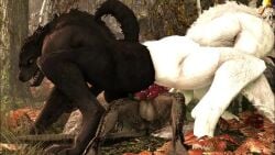 2_penises 3d_(artwork) 3d_animation anal anal_sex animal_genitalia animal_penis animated anthro anthro_on_anthro anthro_penetrated anthro_penetrating anthro_penetrating_anthro argonian balls bethesda_game_studios big_balls big_penis black_body black_fur canid canine canine_genitalia canine_penis crouching day deeja digital_media_(artwork) diphallism dominant_futa erection fur futa_on_male futa_penetrating futa_penetrating_male futa_with_male futadom futanari gay genitals glistening glistening_genitalia glistening_knot glistening_penis group group_sex gynomorph gynomorph/male huge_balls huge_cock intersex intersex/male knot lying male male_penetrated mammal microsoft multi_genitalia multi_penis mythological_canine mythological_creature mythology no_sound nude on_back open_mouth outside penetration penile penile_penetration penis penis_in_ass plant rayhuma scalie sex short_playtime skyrim skyrim_werewolf tagme tail the_elder_scrolls thick_thighs threesome tree trio video werecanid werecanine werecreature werewolf white_body white_fur wide_hips