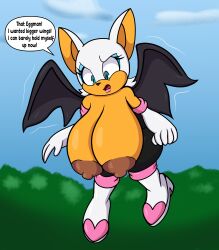 rouge the bat from sega by someth1ngoranother