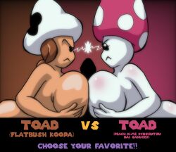 toad (flatbush koopa) from dic entertainment