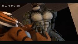 1boy 1girls 3d abs animated anthro balls breasts dreamworks duo feline female fur kung_fu_panda leopard lowres male mammal master_tigress mr_safety mrsafetylion muscular nipples orange_fur pecs penetration penis pussy sex snow_leopard straight tai_lung_(kung_fu_panda) tiger