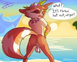 anthro ass balls brown_body clothed clothing english_text genitals guardians_of_the_galaxy hat headgear headwear hi_res male male_only mammal marvel pantsless penis prate-dragon procyonid public raccoon rocket_raccoon solo sun_hat tail text yellow_eyes