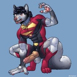 anthro athletic canid canine canis clothing collar colored_nails crouching curly_hair foreskin genitals hair half_naked hi_res humanoid_genitalia humanoid_penis hybrid_genitalia hybrid_penis jonathan_kent knot knotted_humanoid_penis knotted_penis male mammal mythological_canine mythological_creature mythology nails painted_claws paw_boots penis pink_nose pullaskiart solo superhero tight_clothing vein veiny_penis werecanid werecanine werecreature werewolf wolf