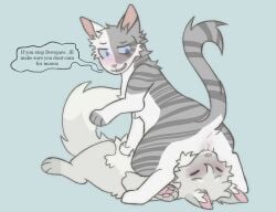 dovewing (warriors) from warriors (book series) by littleperrito