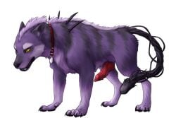 animal_genitalia animal_penis canid canid_demon canine canine_genitalia canine_penis claws collar demon digitigrade erection feral finger_claws fur genitals hellhound hi_res knot knotted_penis male mammal mythological_canine mythological_creature mythology penis peregr1ne purple_body purple_fur quadruped sharp_teeth simple_background solo spikes teeth toe_claws white_background white_body white_fur yellow_eyes