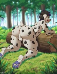 anthro anus ass balls big_butt blue_highlights blue_pawpads blurred_background canid canine canis dalmatian dark_hair day domestic_dog floppy_ears forest fur fuzziness genitals grass hair hi_res highlights_(coloring) kneeling licking licking_lips looking_at_viewer looking_back male mammal markings nude on_grass pawpads perineum plant presenting presenting_hindquarters short_tail signature solo spots spotted_markings tail tongue tongue_out tree white_body white_fur