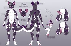 absurd_res african_painted_dog african_wild_dog animal_genitalia anthro balls big_ears breasts canid canine canine_genitalia claws ear_piercing english_text erection female flaccid fudgebane fur genitals green_eyes grey_body grey_fur gynomorph hi_res humanoid_genitalia humanoid_penis intersex lyca_blackwood mammal markings model_sheet multiple_piercings navel navel_piercing nipple_piercing nipples pawpads paws penis piercing purple_markings reference_image solo tail text tuft white_body white_fur white_markings