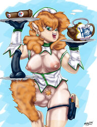 beverage breasts casual_nudity clothed clothing coffee dildo facing_viewer female freckles gnaw hair halfling holding_object humanoid lilac long_hair partially_clothed pubes pussy red_hair sex_toy smile waiter